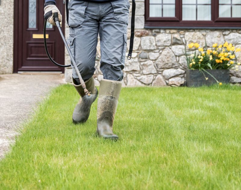 Water Feature Design Service