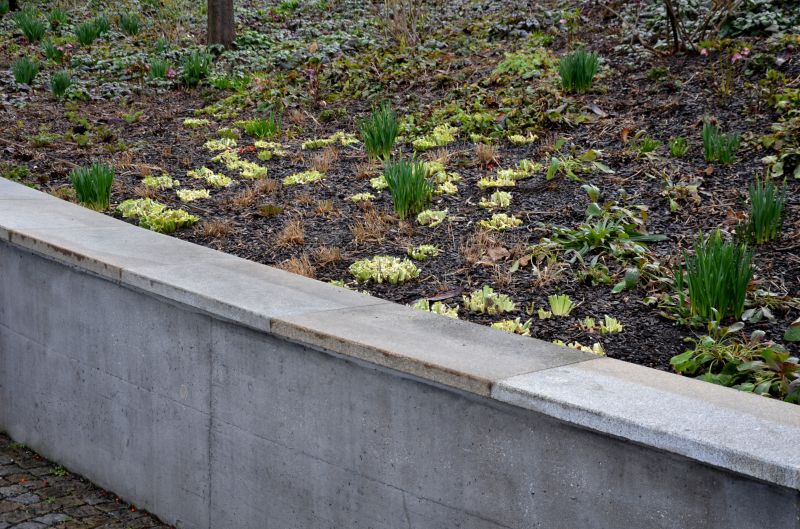 Erosion Control Installation in Honolulu, HI