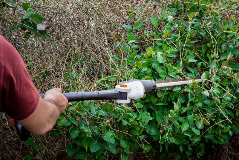 Hedge Installation in Ventura County, CA
