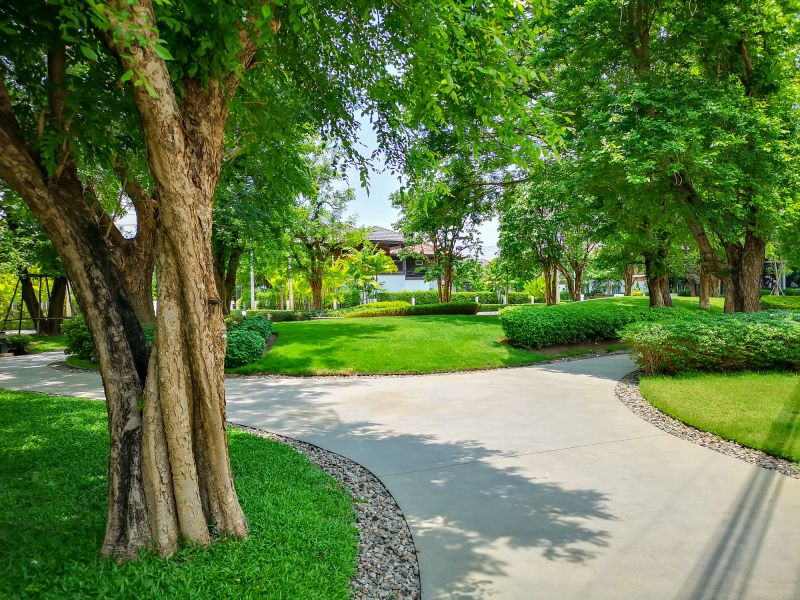 Tree Edging Installation in Honolulu, HI